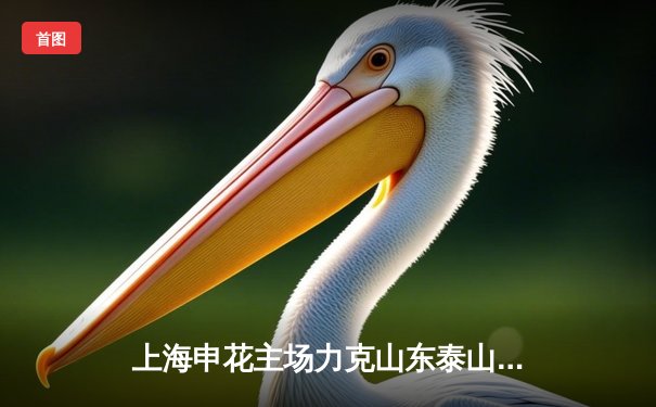 上海申花主场力克山东泰山，吴曦世界波锁定胜局